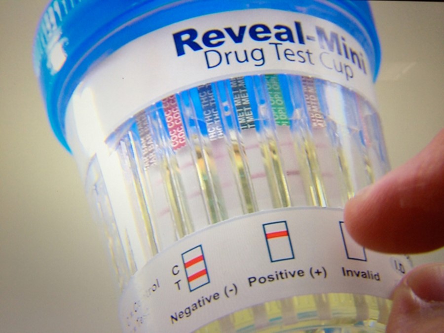 Synthetic Urine For Physical Bellvue Concord NC